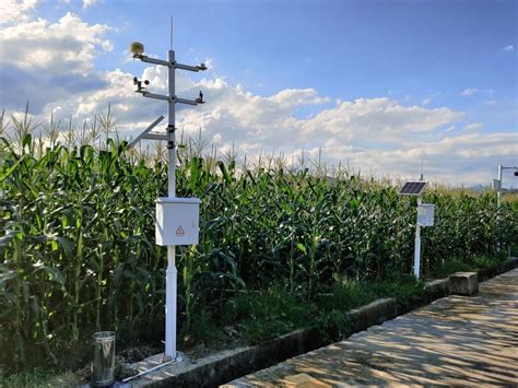 云飞科技智慧农业系统给京东农场带来智慧基因|河南云飞科技