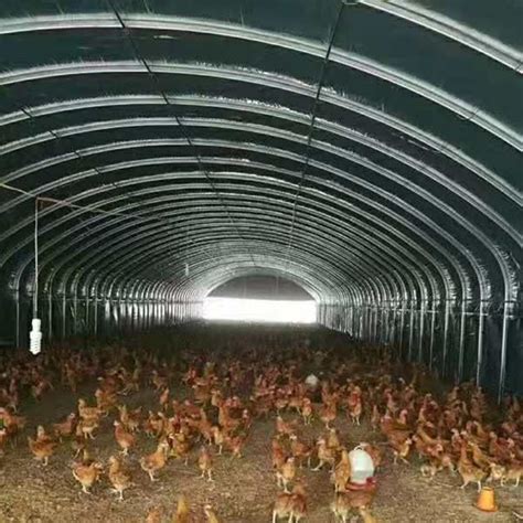 请教老师建个一万只鸡的笼养肉鸡棚 - 通风/环控/鸡舍建设专区 鸡病专业网论坛