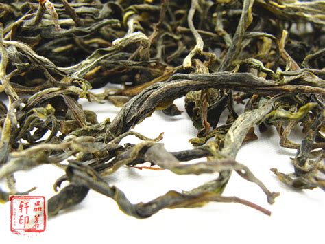 临沧普洱茶区 著名古树茶之乡-茶语网,当代茶文化推广者
