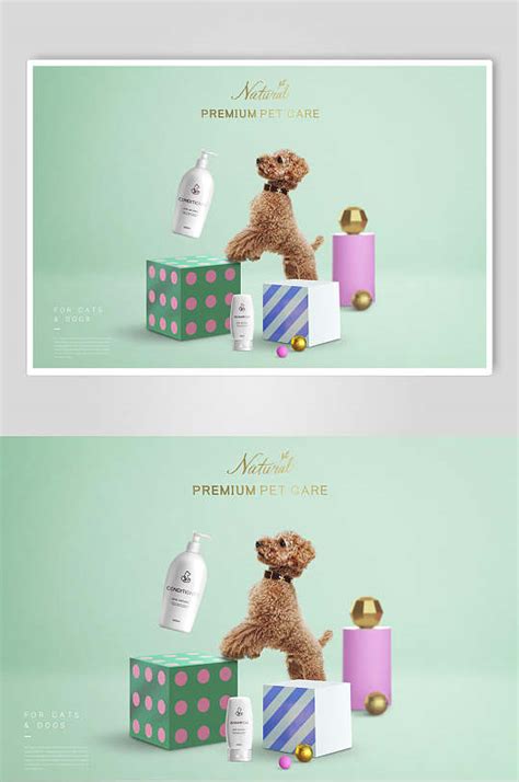 萌宠们的幸福生活-宠物产品设计 - 南京怡觉工业设计有限公司