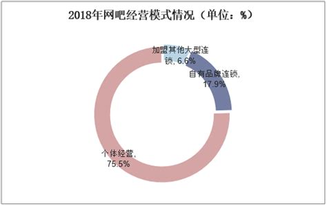 2020-2025年中国网吧服务市场运营态势及发展前景预测报告_其他行业频道-华经情报网