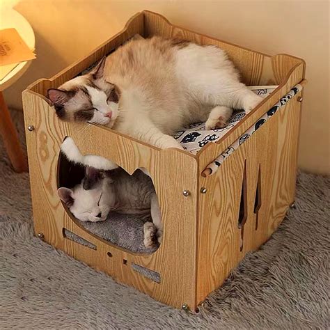 怎么用纸盒给小猫做窝-宠物网问答