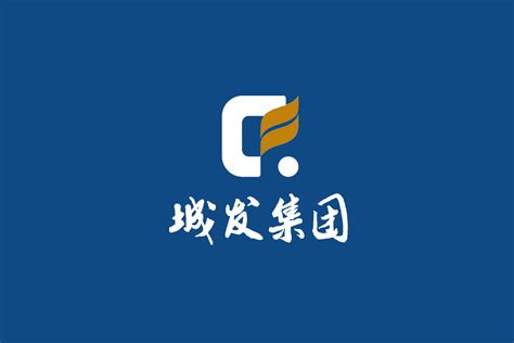 宜昌城市发展投资集团有限公司