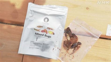 日本推出昆虫零食贩卖机：提供蟋蟀等18种炸虫子，还有巧克力味_北晚在线