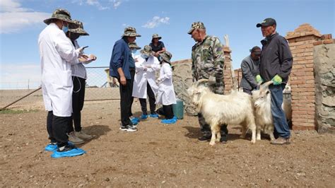 巴楚县开展畜牧养殖技术培训助力乡村振兴-新疆维吾尔自治区科学技术协会