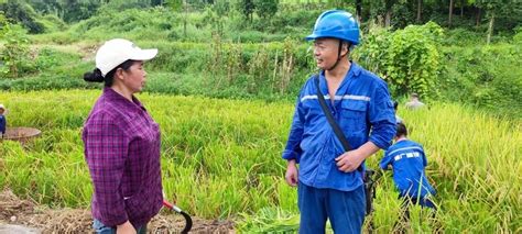 国网乐山供电公司：蓄足电力护民助农_四川在线