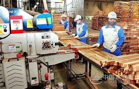越南：加强出口木材加工业的可持续发展-中国木业网