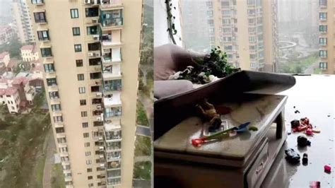 官方通报女子关窗时被台风吹下11楼坠亡：住户曾自行改造阳台_手机新浪网