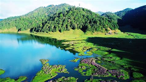 COP15 | 又是被惊艳的一天！云龙县漕涧林场生物多样性大赏_文旅头条