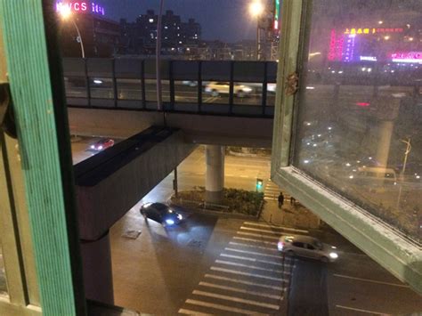 小猫被困上海高架桥墩十余天，志愿者、消防协力救下_暖新闻