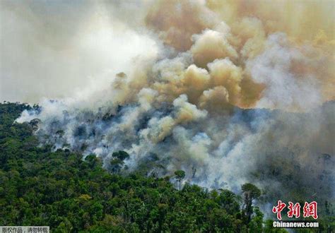 触目惊心！航拍火灾后亚马孙雨林浓烟缭绕 森林成焦土