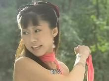 大唐双龙传（2004年林峯吴卓羲主演TVB古装武侠电视剧） - 搜狗百科