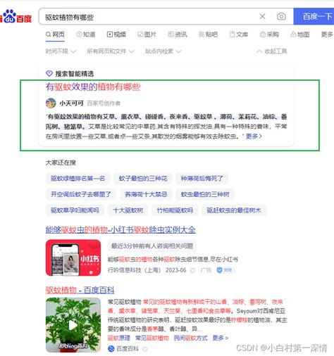 从业十三年SEO大佬干货总结，满满五千字，图文结合，30min带你真正学会SEO