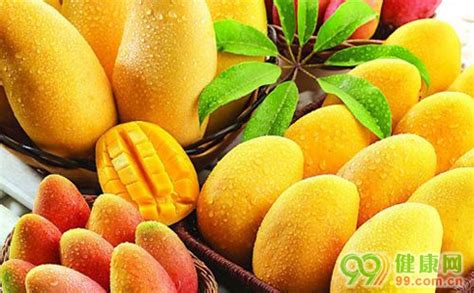 芒果到什么程度可以吃,芒果什么样子才能吃,如何断青芒可以吃了_大山谷图库
