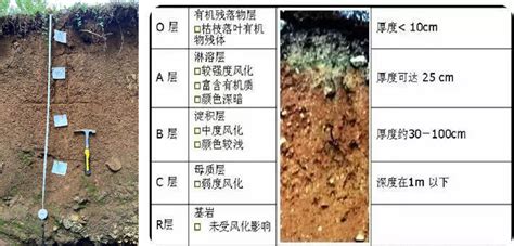 一九五六年十二月 的图像结果