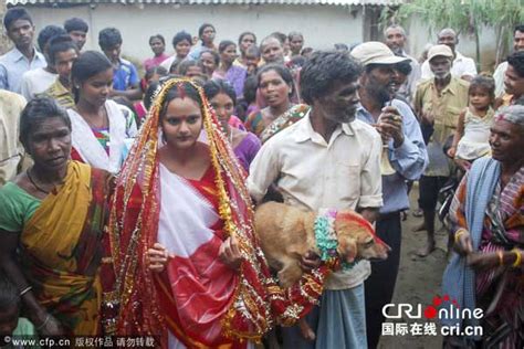 印度18岁女子被迫与流浪狗结婚 为部落驱走厄运(图)——人民政协网