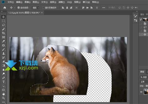 Photoshop抠图教程：用套索及调整边缘工具快速抠出草地上毛茸茸的小狗 - PSD素材网