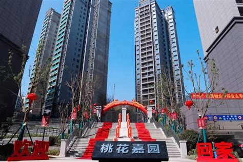 湘江新区桃花村居民喜提高品质安置房-工作动态