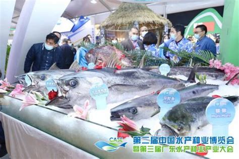 领绿色渔业 谋种业振兴！ 第二届中国水产种业博览会在广州南沙举行_中国发展网