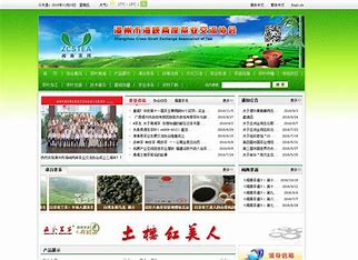 漳州网站优化公司电话 的图像结果