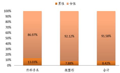 医疗美容机构市场分析报告_2022-2028年中国医疗美容机构市场全景调研与未来前景预测报告_产业研究报告网