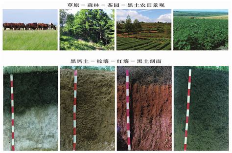 利用土壤养分测试仪检测黄土和黑土中的养分-山东恒美科技