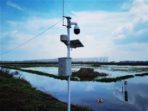 朱利明（水利部中国科学院水工程生态研究所）:人工湿地是如何实现净化水质的？_作品展示