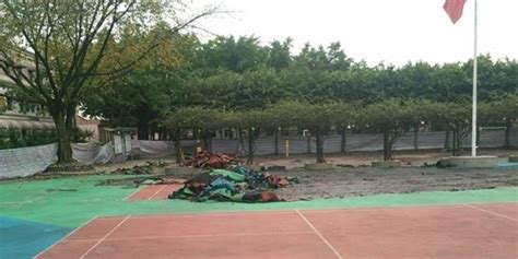 四川私立学校主动拆除塑胶跑道 恢复水泥操场_手机新浪网