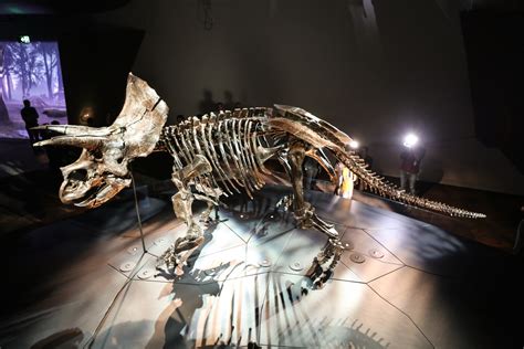 加拿大发现1亿年前的恐龙化石，皮肤完整无缺，鳞片栩栩如生_马克·米切尔