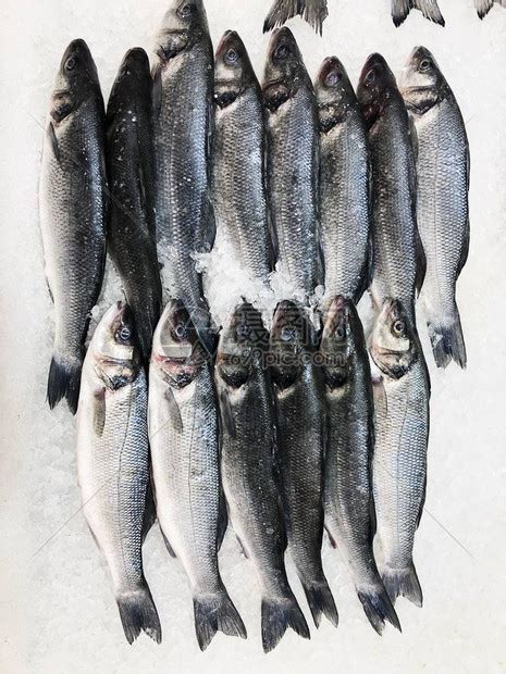 市场上的冰上鲜鱼接近市场高清图片下载-正版图片506243010-摄图网