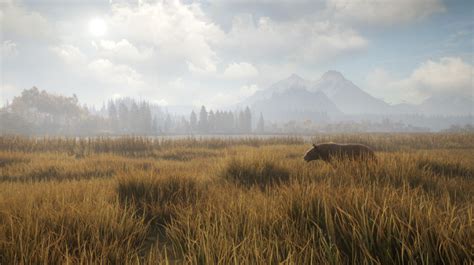 开放世界游戏《荒野的召唤》开启Steam促销活动- DoNews游戏