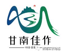 深圳康康品牌-甘南九寨-旅游海报设计