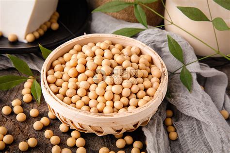 非发酵性豆制品-徐州金维食品有限公司