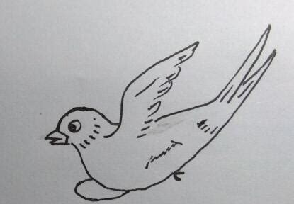 飞翔的小燕子的简笔画怎么画带步骤简单又好看 - 丫丫小报