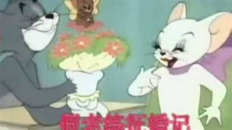 猫和老鼠四川方言版-014-假老练征婚_腾讯视频