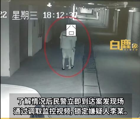 了解情况后民警立即到达案发现场调取监控视频，锁定嫌疑人李某。