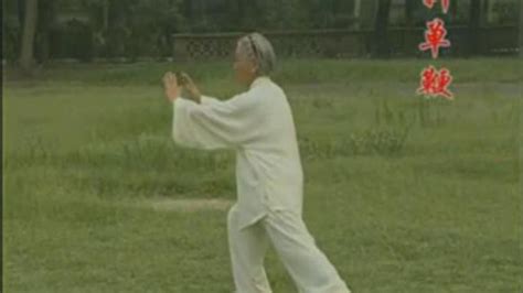 传统杨式太极拳85式（扎西大师）_腾讯视频