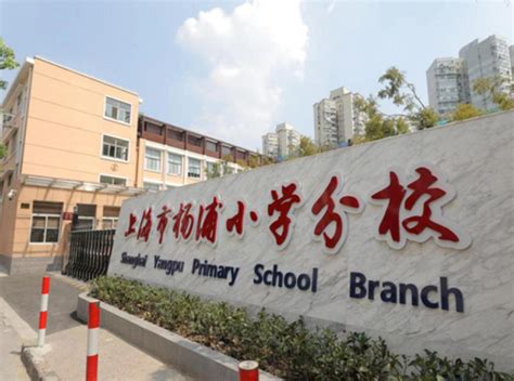 如何进上海四校八大？选对小学很重要！杨浦区热门小学都在这！