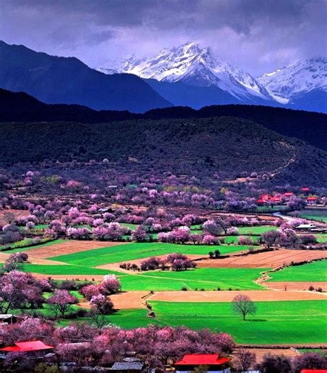 林芝旅游最佳摄影时节-林芝什么时候去最美-西行川藏