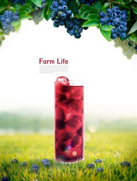 蓝莓果汁广告宣传海报设计模板 – 设计小咖