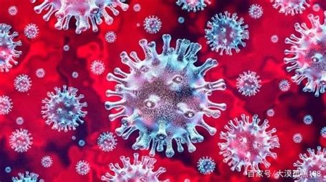 新型冠状病毒肺炎疫情每日播报 | 2020.04.23|疫情|新冠肺炎_新浪新闻