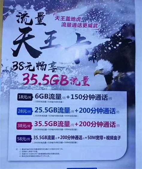 联通扎心 移动"天王卡"曝光:18元6GB流量_天极网