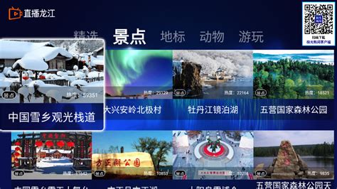 黑龙江电视台公共频道在线直播_正点财经-正点网