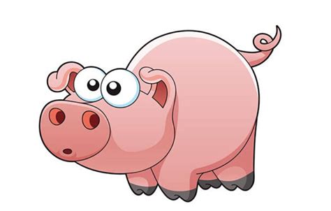 2019猪年女宝宝起名常用字有哪些 属猪起名宜用字大全-周易算命网
