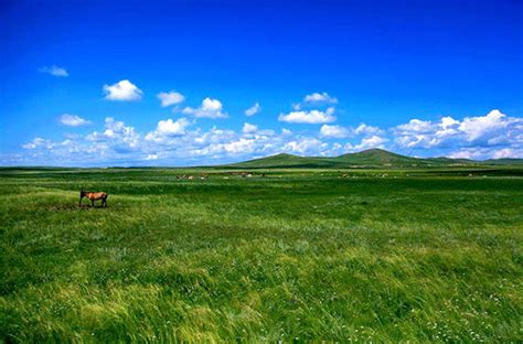 锡林郭勒平顶山 - 美景图集 - 内蒙古旅游网-资讯、景点、服务、攻略、知识一网打尽