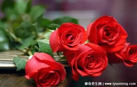 结婚纪念日送多少朵玫瑰 男同胞必看鲜花数量代表意义 - 中国婚博会官网