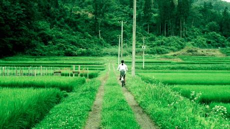 韩版电影小森林，直面内心的困惑才是最好的治愈|小森林影评|小森林评分