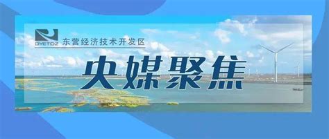 东营港经济开发区智慧园区专家咨询委员会成立暨项目启动大会在北京召开