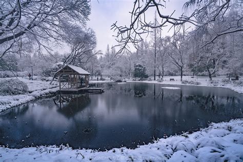 双投桥-瑞雪降南国 2013杭州西湖雪景欣赏套图-第28张