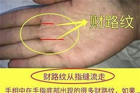 漏财手相图解图片